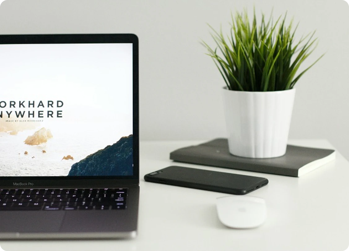 laptop with tree